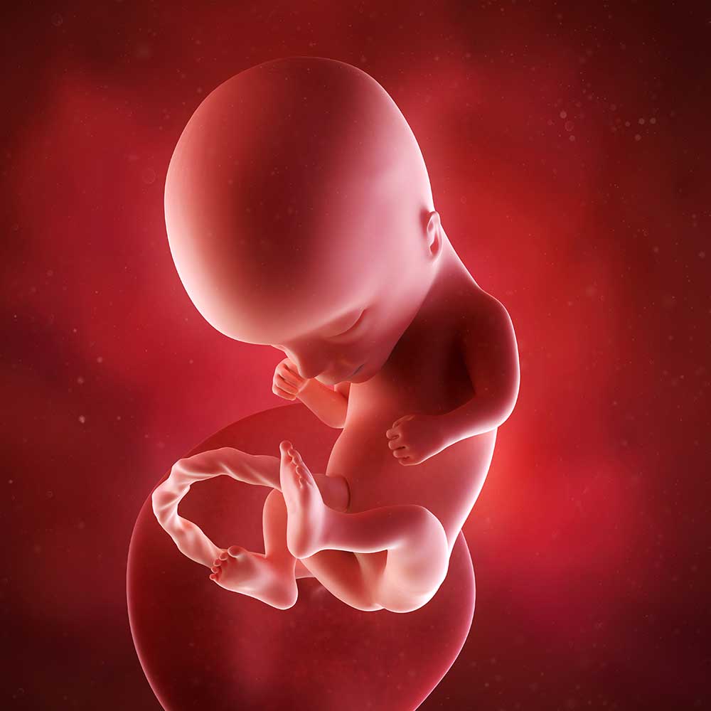 Baby uge 14