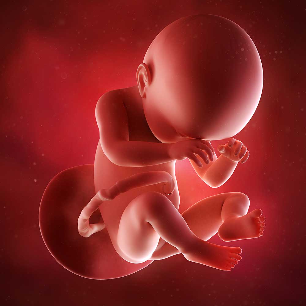 Baby uge 38