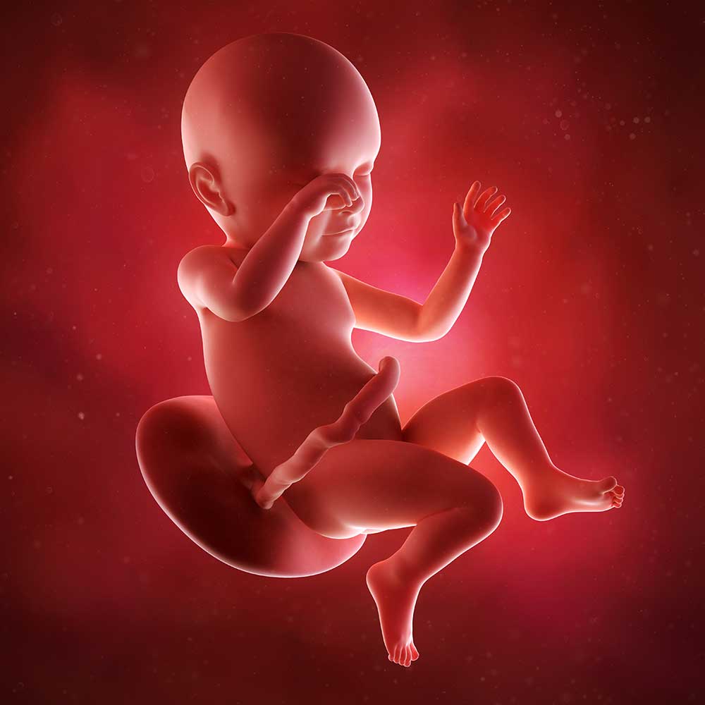 Baby uge 39
