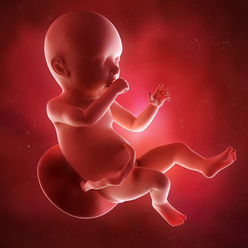 Baby uge 40