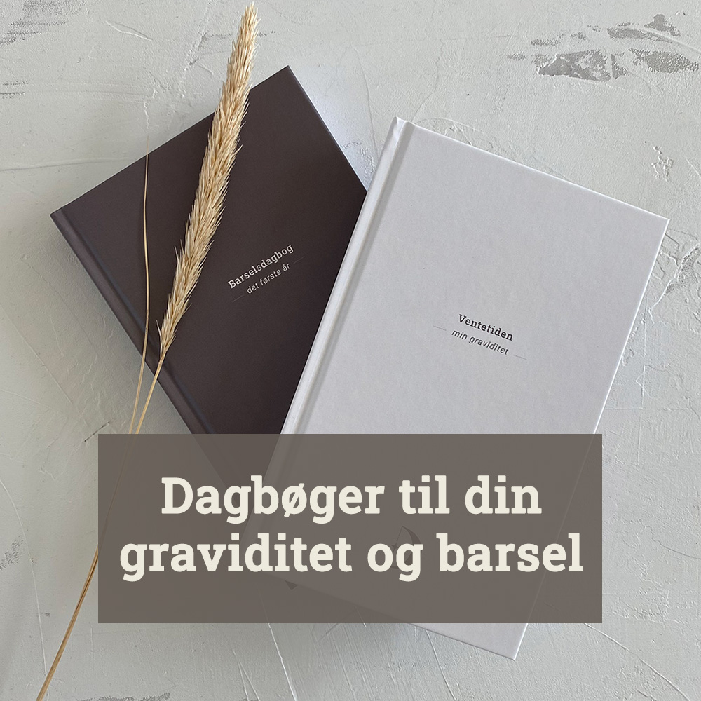 Dagbøger til graviditeten